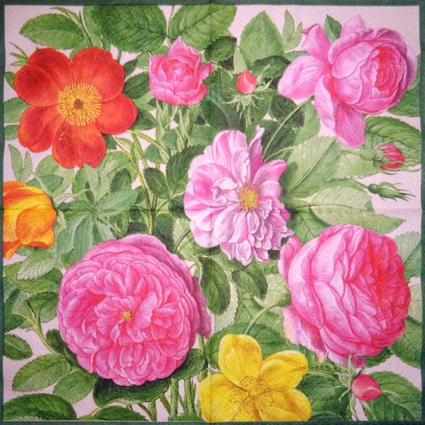 594 Roses - 3-ply